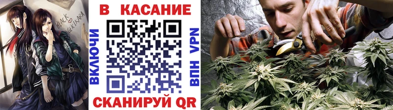 Купить закладку Конопля АМФ ГАШ МЕФ Кокаин Нерчинск